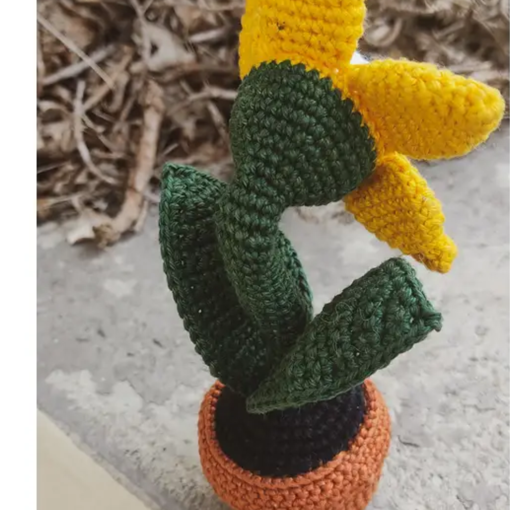 Spooky Sunflower Crochet Pattern