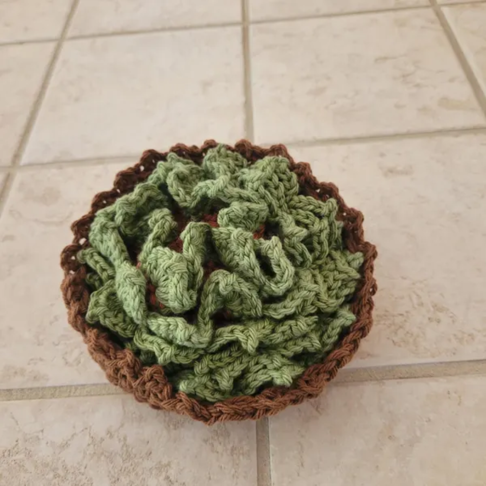 Rustic Bloom Coaster Crochet Pattern