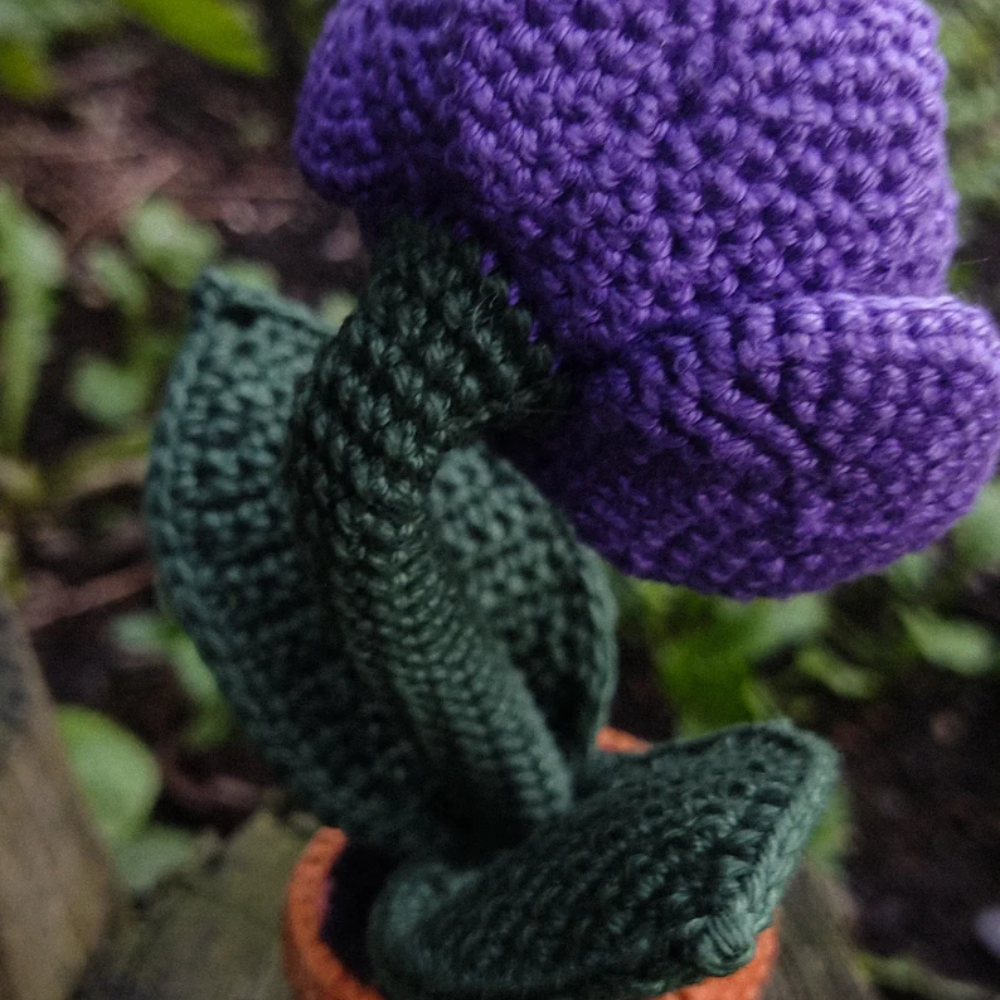 Eye Bloom Crochet Pattern