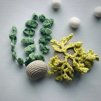 Ocean Treasures Crochet Pattern Set